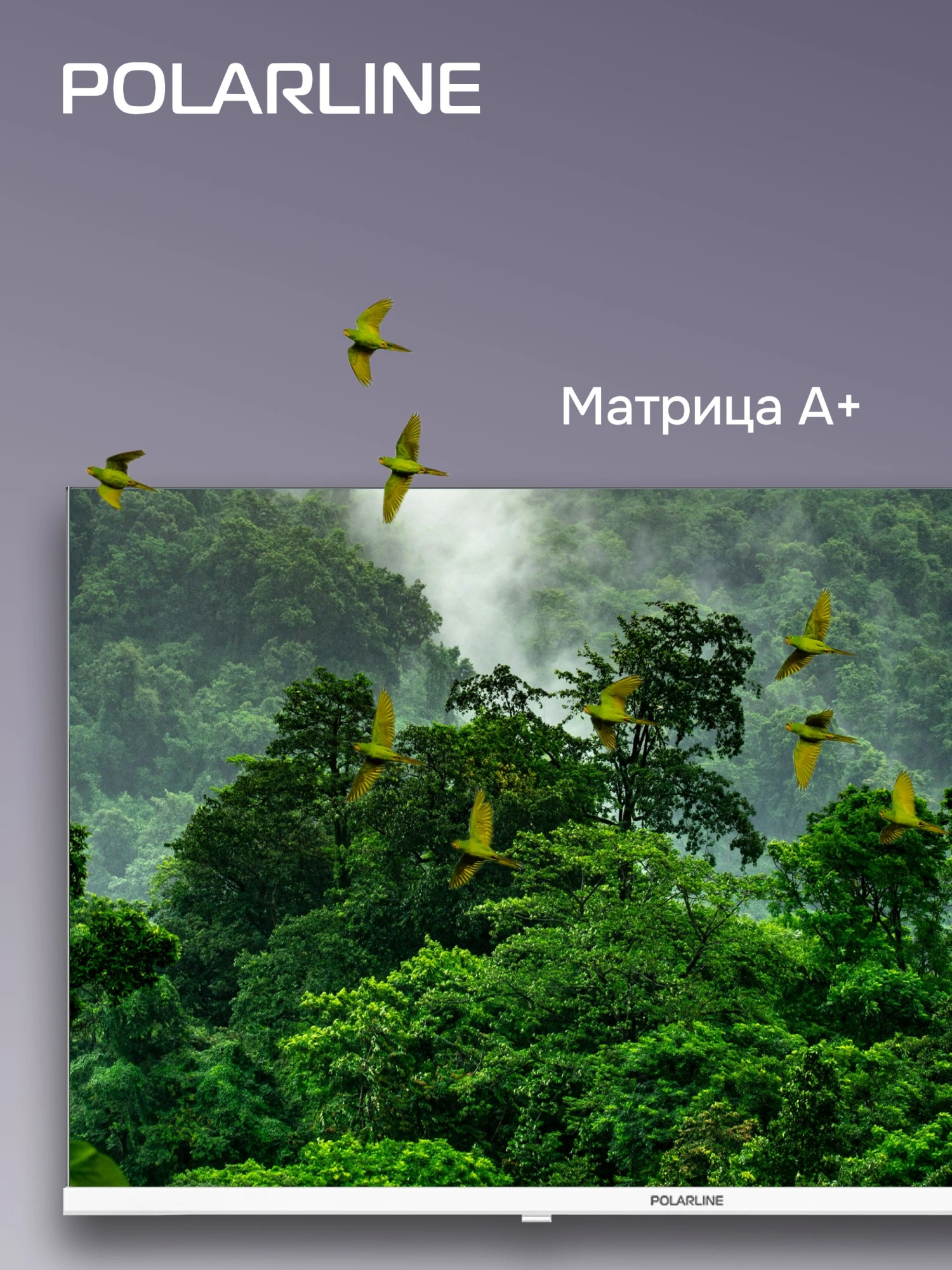 Телевизор LED PolarLine 32" 32PL53TC белый HD 60Hz DVB-T DVB-T2 DVB-C DVB-S2 USB WiFi (RUS)