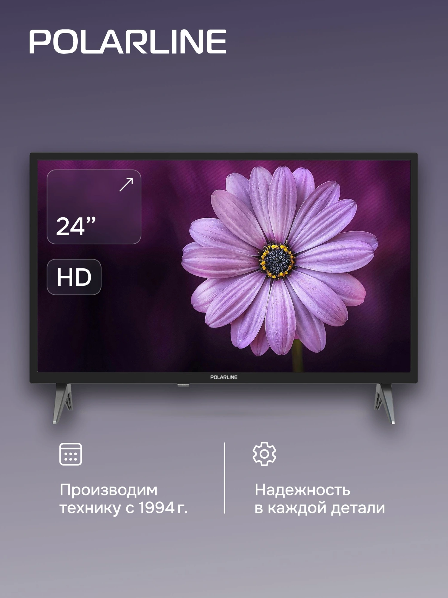 Телевизор LED PolarLine 24" 24PL12TC черный HD 60Hz DVB-T DVB-T2 DVB-C DVB-S2 USB WiFi (RUS)