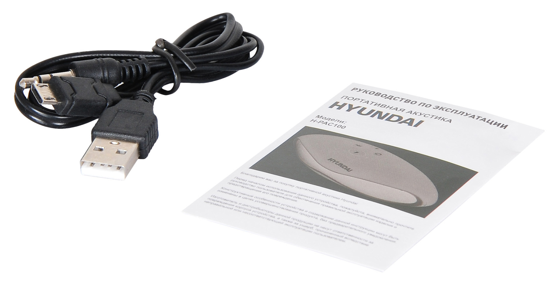 Колонка порт. Hyundai H-PAC100 черный 3W 1.0 BT/3.5Jack/USB