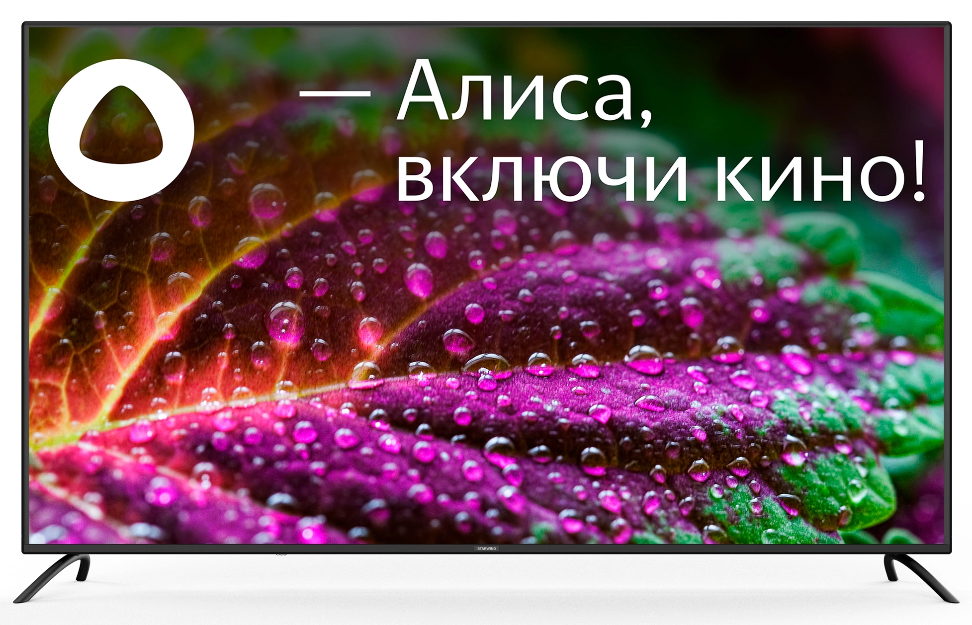 Телевизор LED Starwind 65" SW-LED65UG402 Яндекс.ТВ Frameless черный 4K Ultra HD 60Hz DVB-T DVB-T2 DVB-C DVB-S DVB-S2 USB WiFi Smart TV