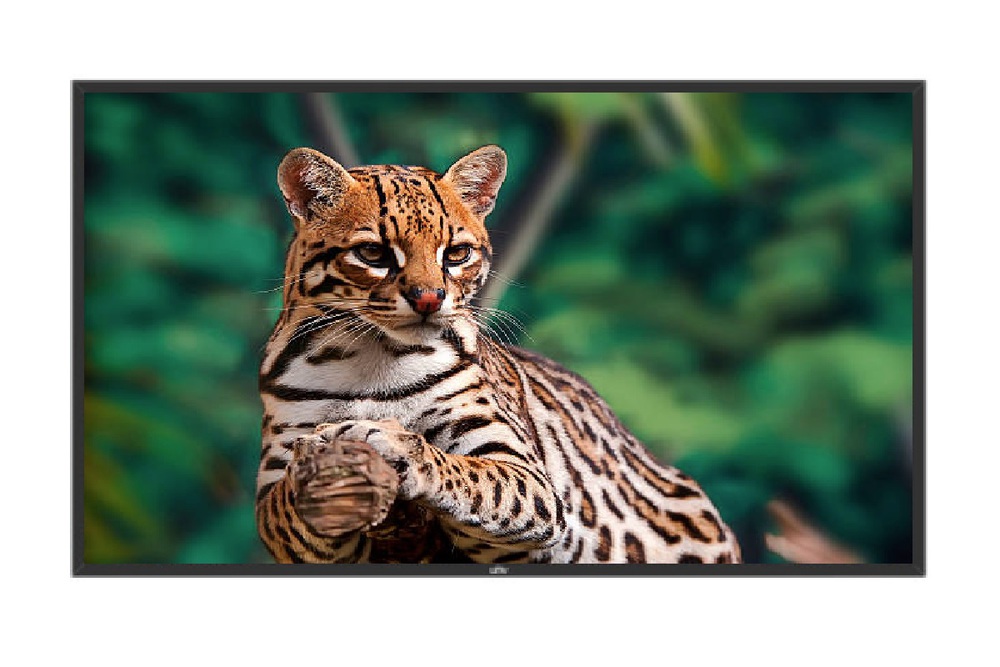 Монитор Uniview MW3275-F (75", 3840х2160, IPS)
