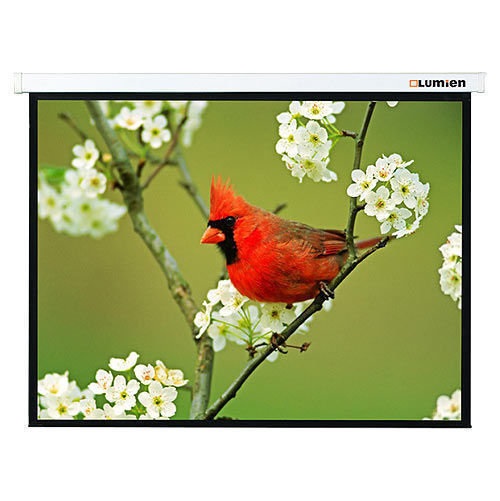 Экран Lumien 81" 171x128см Master Picture LMP-100108 4:3 настенно-потолочный рулонный белый