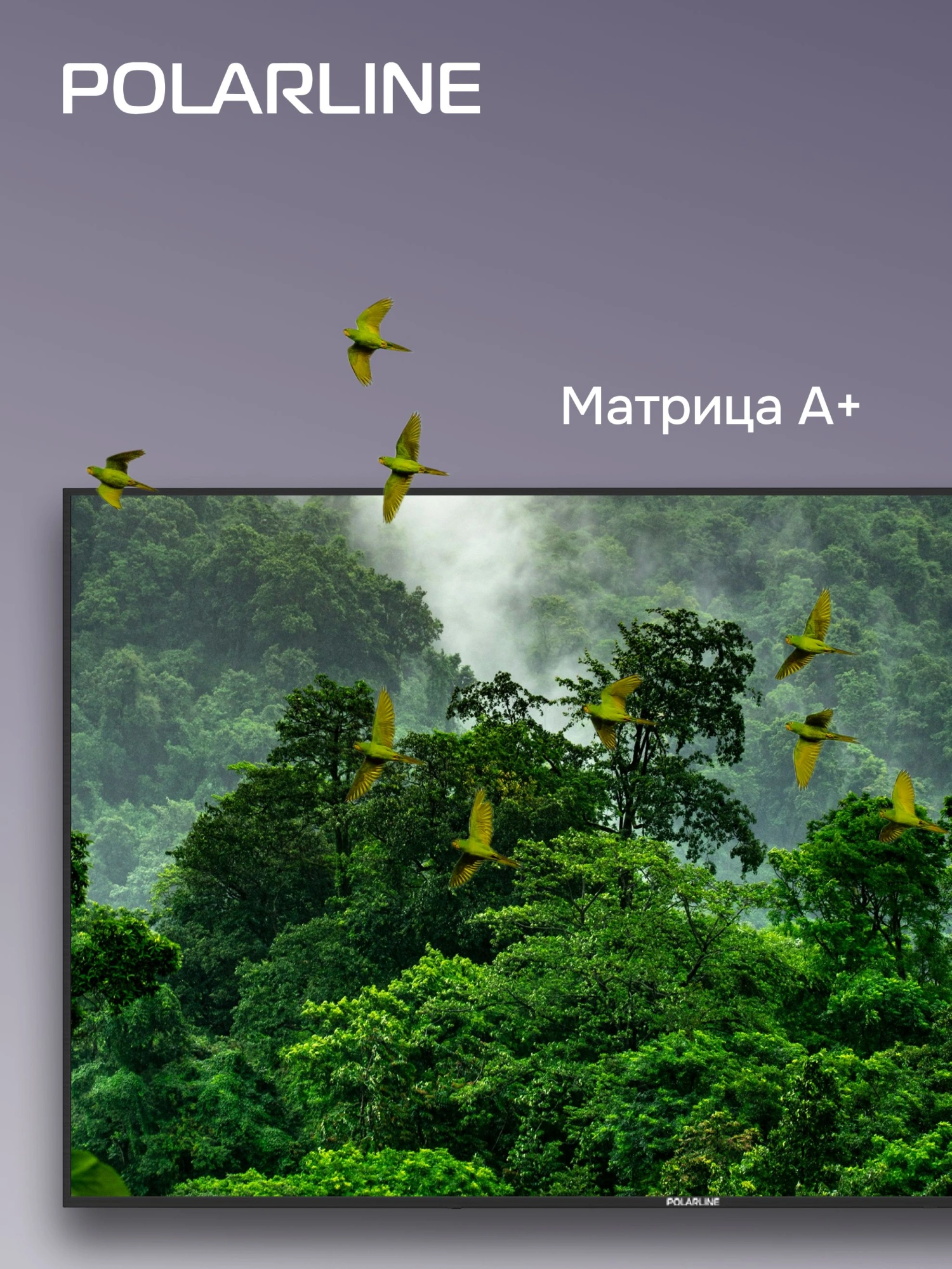 Телевизор LED PolarLine 55" 55PU11TC-SM черный 4K Ultra HD 60Hz DVB-T DVB-T2 DVB-C DVB-S2 USB WiFi Smart TV (RUS)