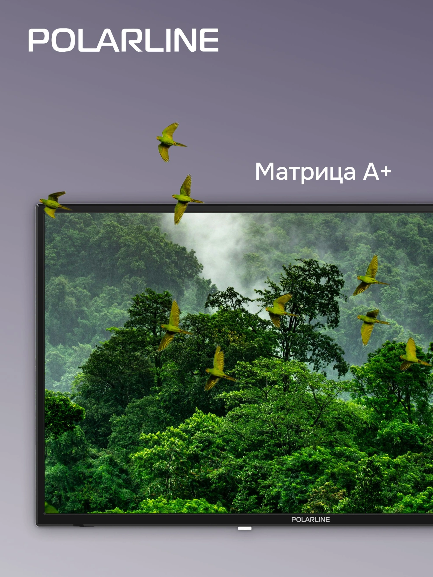 Телевизор LED PolarLine 32" 32PL13TC-SM черный HD 60Hz DVB-T DVB-T2 DVB-C USB WiFi Smart TV (RUS)