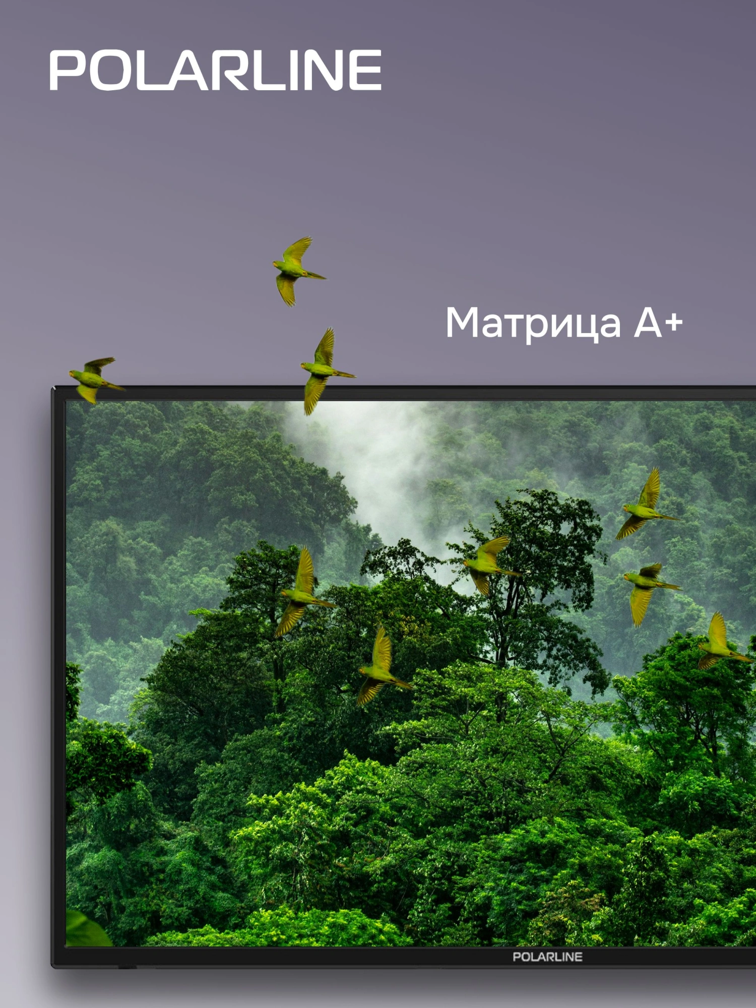 Телевизор LED PolarLine 32" 32PL55TC-SM черный/серебристый HD 60Hz DVB-T DVB-T2 DVB-C USB WiFi Smart TV (RUS)