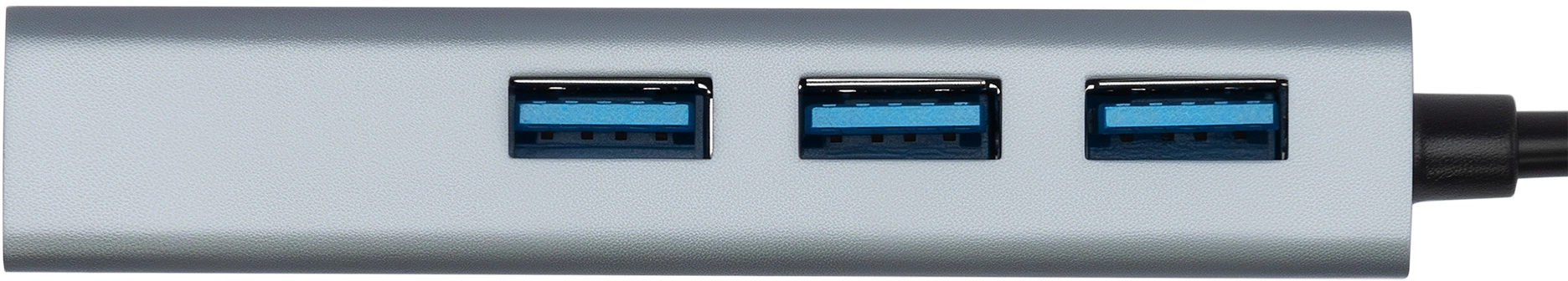 Разветвитель USB-C + USB-A Digma DHUB-LAN-4port 4порт. серебристый