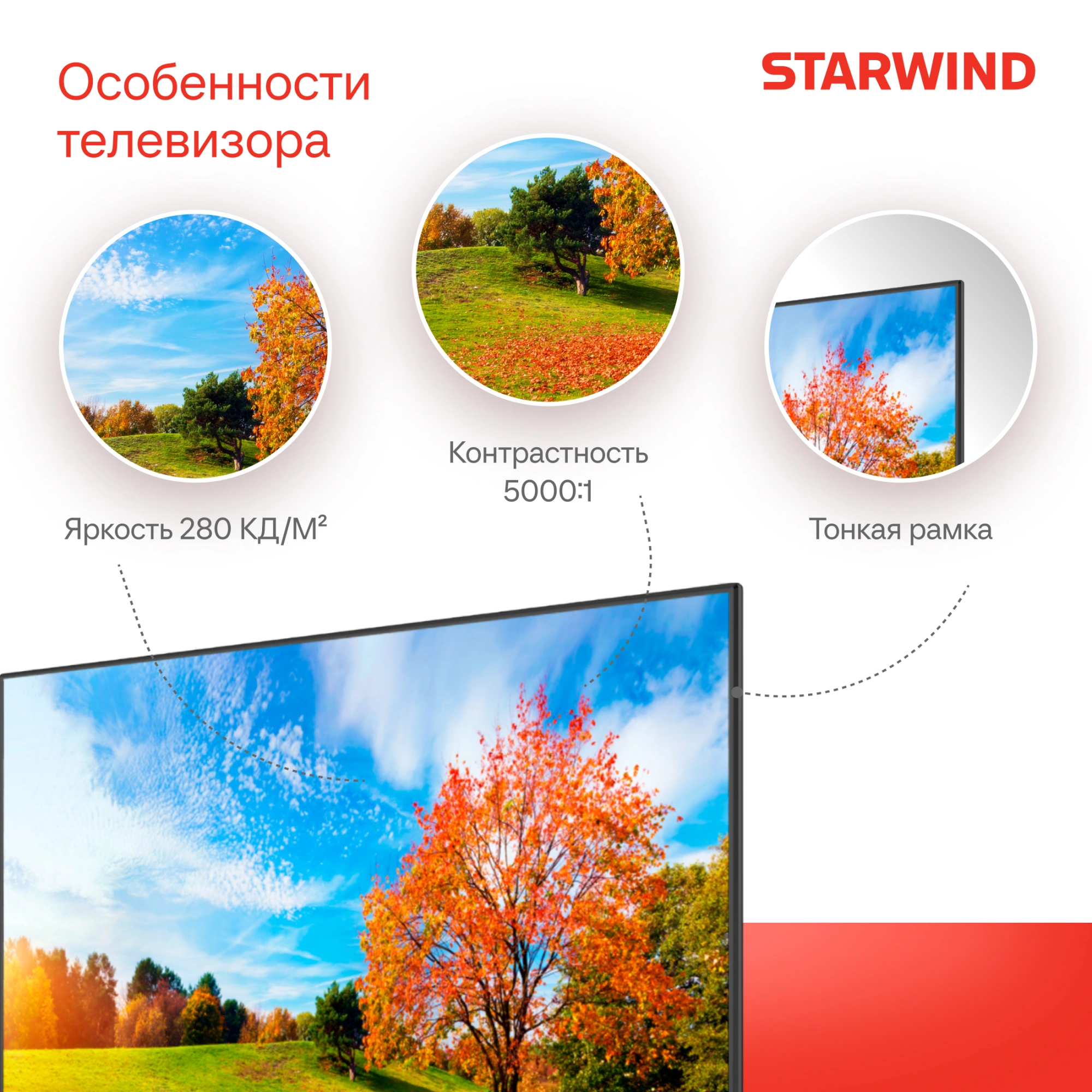 Телевизор LED Starwind 65" SW-LED65UG402 Яндекс.ТВ Frameless черный 4K Ultra HD 60Hz DVB-T DVB-T2 DVB-C DVB-S DVB-S2 USB WiFi Smart TV