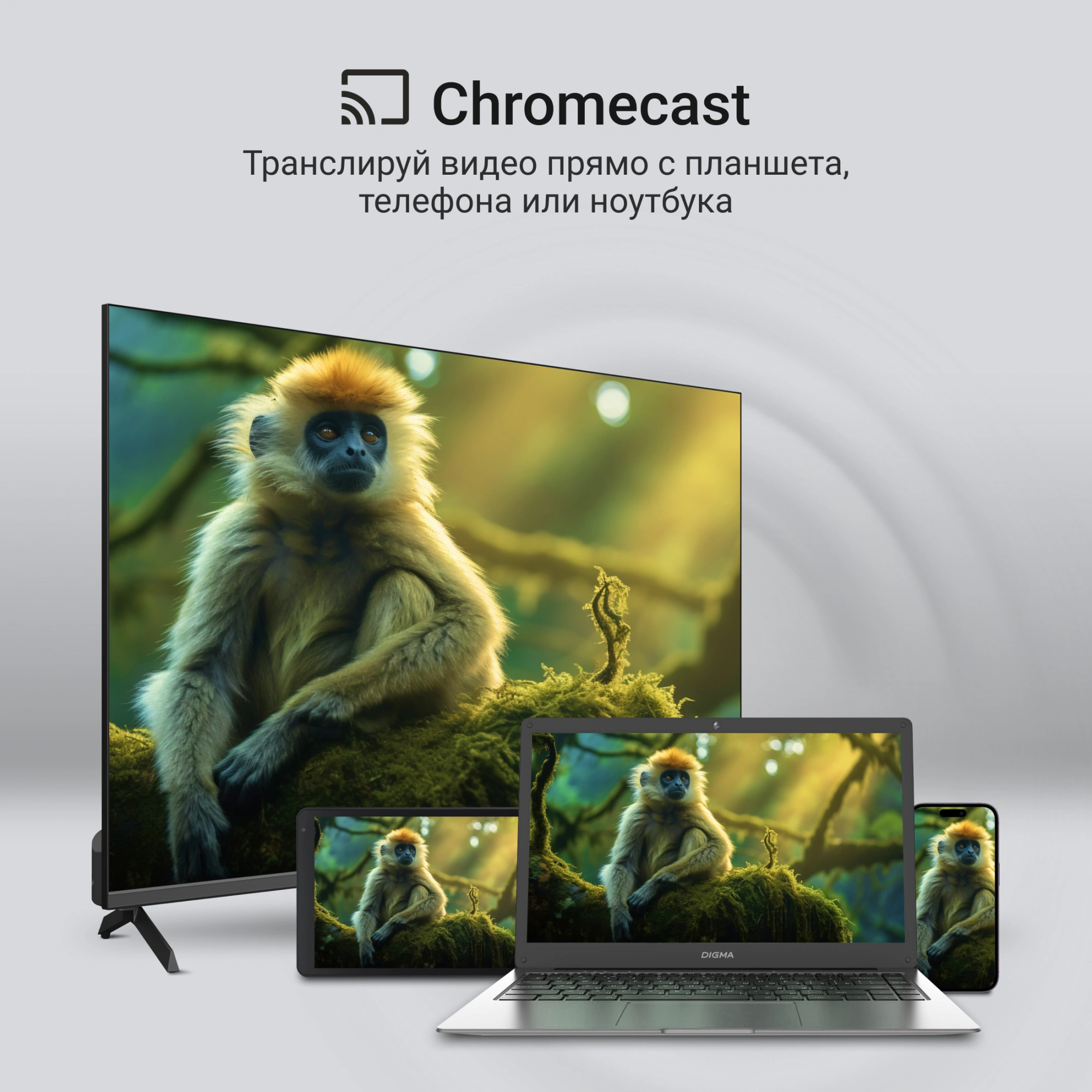 Телевизор QLED Digma 65" DM-LED65UQB31 Google TV Frameless Metal черный/черный 4K Ultra HD 60Hz MEMC DVB-T DVB-T2 DVB-C DVB-S DVB-S2 USB WiFi Smart TV