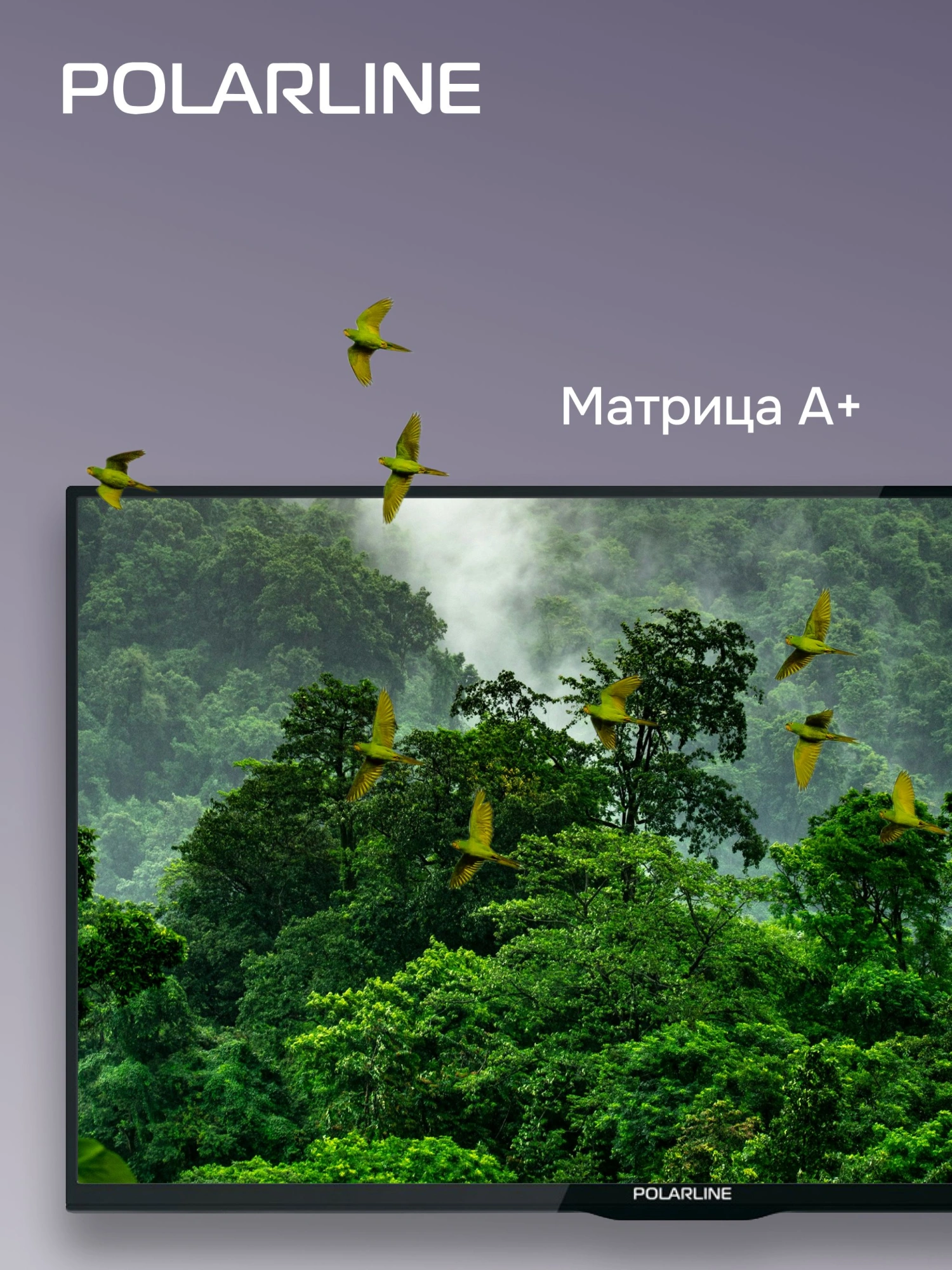 Телевизор LED PolarLine 32" 32PL14TC-SM черный HD 60Hz DVB-T DVB-T2 DVB-C USB WiFi Smart TV (RUS)