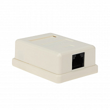 03-0121 - Розетка компьютерная REXANT 1-порт RJ-45 (8P8C), cat 5e, внешняя, упаковка 25 шт