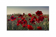 Монитор Uniview MW3255-F-V2 (55", 3840х2160, IPS)