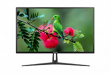 Монитор Hikvision DS-D5232F2-1V1S (32", 1920х1080, VA)