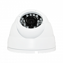 DVI-D225 POE LV v2.0 OEM 2Mpix 2.8mm