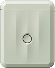 Термопринтер Niimbot D110 M (1746804) 203dpi 40мм/с/USB/BT для печ.этик. зеленый