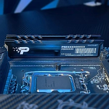 Память DDR5 16GB 5600MHz Patriot PSP516G560081H1 Signature Premium RTL PC5-44800 CL46 DIMM 288-pin 1.1В single rank с радиатором Ret