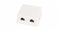 EC-UWO-2-UD2-WT-10 - Настенная розетка NETLAN, 2 порта, Кат.5e, RJ45/8P8C, 110, T568A/B, неэкранированная, белая